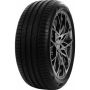 Легковая шина Delinte DS2 225/50 R17 94W RunFlat