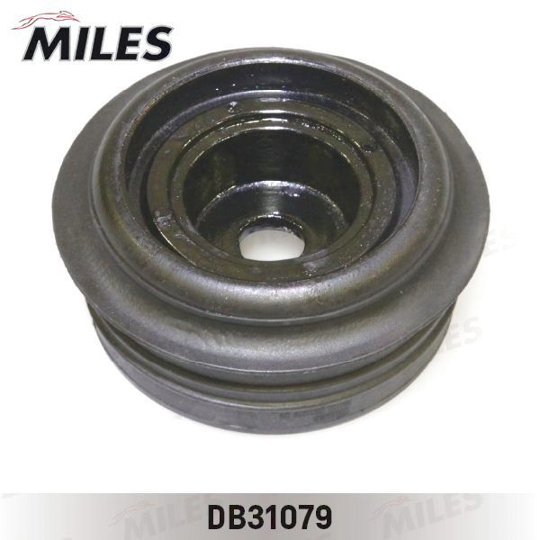 MILES DB31079 Hyundai